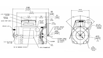 Century A.O. Smith GUARDIAN Square Flange Up-Rated SVRS Motor 3G11020 | 2.5HP 230V | BG840A