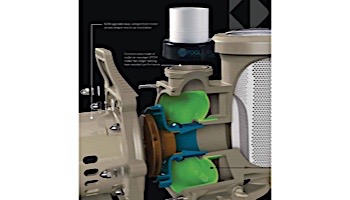 Pentair WhisperFloXF Energy Efficient Pool Pump | 208/230V 2HP | XFE-8 | 022009