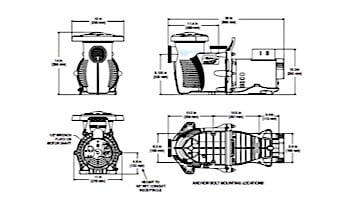 Pentair WhisperFlo XF Energy Efficient Pool Pump | Single Speed | 208/230V 5HP | XFE-20 | 022011