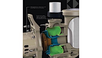Pentair WhisperFloXF 3HP Premium Efficiency 3-Phase Pool Pump with Super-Duty TEFC Motor XFK-12 022030 | 022018