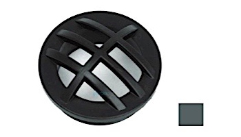 AquaStar 1.5" Safety Grate Insert with 1.5" MPT | Dark Gray | CFM105