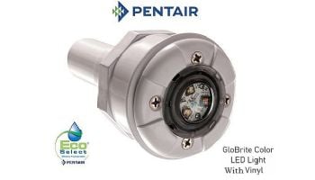 Pentair GloBrite Shallow Water Color LED Light | 12V 100' Cord | 602055