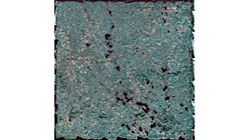 National Pool Tile Silverstone 6x6 Series | Marine | SVRMARINE