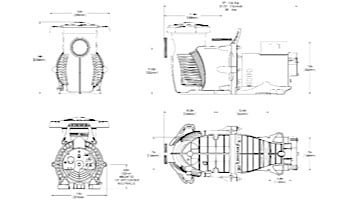Sta-Rite Max-E-ProXF | XPK-8 | 2HP 3-Phase TEFC Super Duty Pool Pump 023029 | 023017
