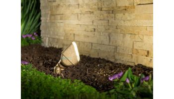 FX Luminaire LC 3 LED Up Light | Zone Dimming | Natural Brass | LCZD3LEDBS