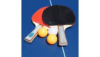 Hathaway Back Stop 9-Foot Ping Pong Table | NG2310P3 BG2310