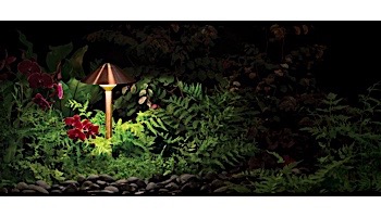 FX Luminaire CA 1 LED Path Light | Black Wrinkle | 24" Riser | CA1LED24RBF KIT