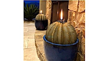 Desert Steel Golden Barrel Cactus with Torch | Small | 350-010VT