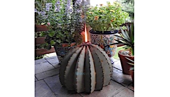 Desert Steel Golden Barrel Cactus with Torch | Small | 350-010VT