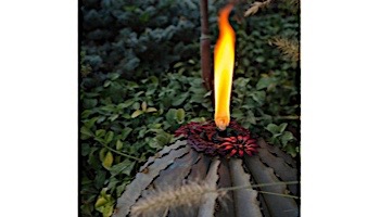 Desert Steel Golden Barrel Cactus with Torch | Small | 350-010VT