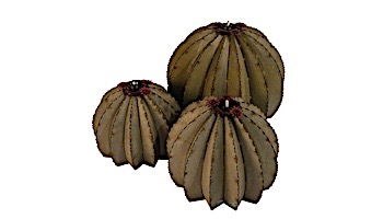 Desert Steel Golden Barrel Cactus with Torch | Small | 350-010VT