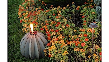 Desert Steel Golden Barrel Cactus with Torch | Small | 350-010VT
