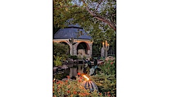 Desert Steel Golden Barrel Cactus with Torch | Small | 350-010VT