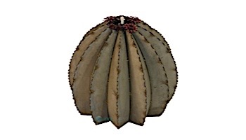 Desert Steel Golden Barrel Cactus with Torch | Small | 350-010VT