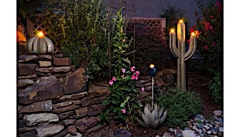 Desert Steel Golden Barrel Cactus wit Torch | Large | 350-030VT