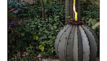 Desert Steel Golden Barrel Cactus wit Torch | Large | 350-030VT
