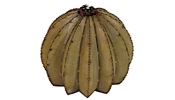 Desert Steel Golden Barrel Cactus wit Torch | Large | 350-030VT