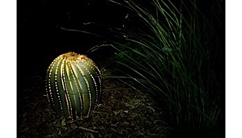 Desert Steel LED Light Kit | 6 Lights | 003-116NA