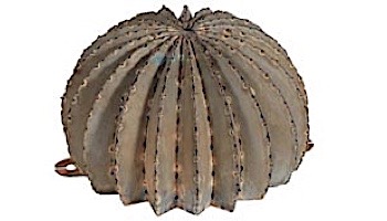 Golden Barrel Cactus