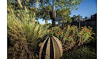 Desert Steel Artisan Collection Small Golden Barrel Cactus | 300-010V