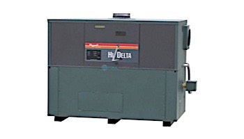 Raypak HI Delta P302B Commercial Indoor-Outdoor Swimming Pool Heater | Propane Gas 300,000 BTUH | 009363