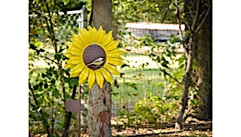 Desert Steel Sunflower Bird Feeder | 409-103