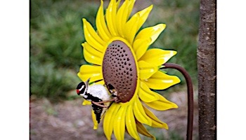 Desert Steel Sunflower Bird Feeder | 409-103