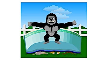 Gorilla Floor Padding 16'X24' Rectangle | NL144