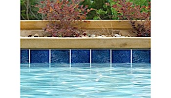 National Pool Tile Trident 6x6 Series | Indigo | TRD-ABYSS