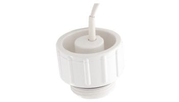 Pentair Intellichem Flow Switch with Magnet | 10' Cable Length | 754000440