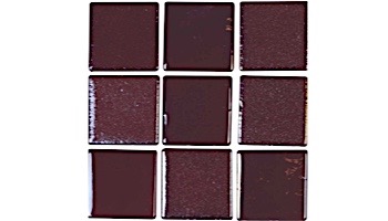 National Pool Tile Valencia 2x2 Series Glass Tile | Marron | VAL-MARRON 2X2