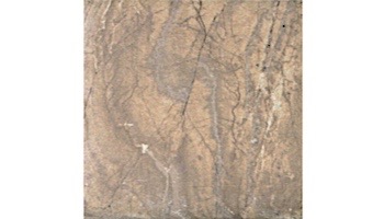 National Pool Tile Relic 6x6 Pool Tile | Earth | REL-EARTH