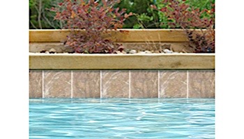 National Pool Tile Relic 6x6 Pool Tile | Earth | REL-EARTH