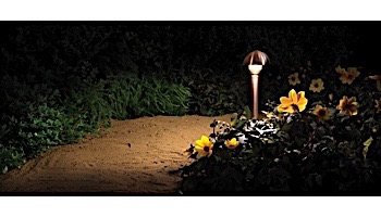 FX Luminaire PR 1 LED Path Light | Bronze Metallic | 24" Riser | PR1LED24RBZ KIT