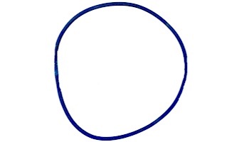 Jandy Pump Blue Pressure Test Oring | R0479000