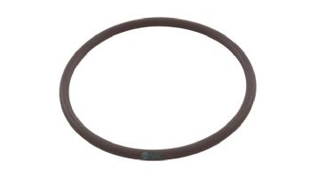 Zodiac Fusion Tri-Lobe O-ring | R0586300