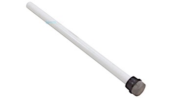 Pentair Air Bleed Tube Assembly | 170030
