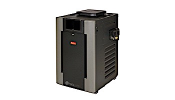 Raypak Digital ASME Certified Propane Gas Commercial Swimming Pool Heater 200k BTU Cupro Nickel Heat Exchanger #58 Hi Alt 2000-3000 Feet | C-R206A-EP-X 010214