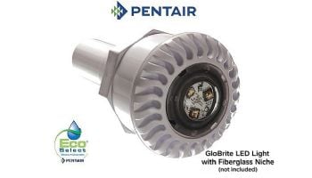 Pentair GloBrite Shallow Water White LED Light | 12V 50' Cord | 602103