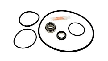 Aladdin GO Kit for Jandy JHP Pump | Seals & Gaskets GO-KIT77 | APCK1181