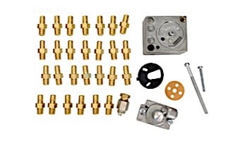 Raypak Atmospheric Conversion Kit 336A-406 Models | Propane to Natural MV Pilot | 010420F