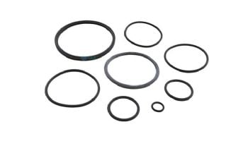 Zodiac Nature2 Fusion O-Ring Kit | R0502500