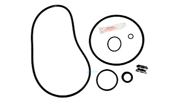 Seal & Gasket Kit for Sta-Rite Max-E-Pro Series Pool Pumps | GO-KIT79 APCK1185