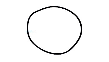 Aladdin O-Ring for Tank 21" System 3 | O-485