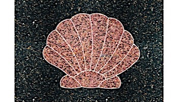 AquaStar Swim Designs Shell Stencil Only | Gray | F1011-05