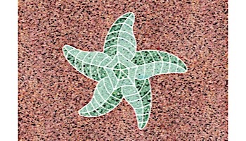 AquaStar Swim Designs Starfish Stencil Only | Gray | F1012-05