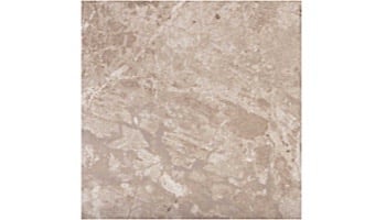 National Pool Tile Relic 6x6 Pool Tile | Wind | REL-WIND