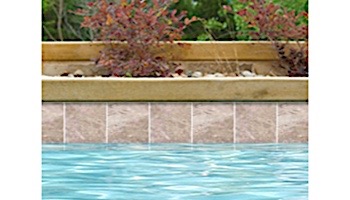 National Pool Tile Relic 6x6 Pool Tile | Wind | REL-WIND
