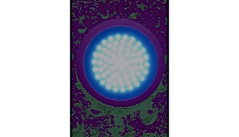 Ocean Blue Step Light Add On | 980051