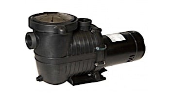 Blue Wave TidalWave 2-Speed  Above Ground Pool Pump | 1.5 HP with Cord | NE6183